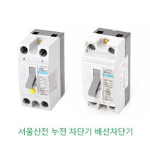 서울산전 누전차단기 배선차단기 2P 15A 20A 30A, 배선 15A(산업용), 1개