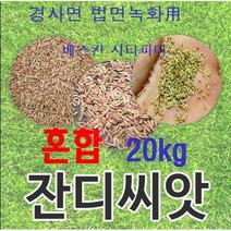 [법면 경사면용] 혼합양잔디씨앗 20kg 약200평 무료배송/발아율 80%이상/혼합풀씨 혼합종자 잔디씨 양잔디씨 잔디씨앗 법면녹화 사방공사