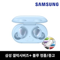 삼성 갤럭시 버즈 플러스 중고 SM-R175 블루+케이스, 블루