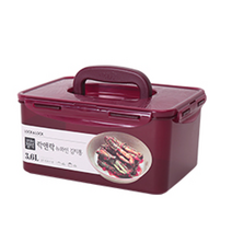 락앤락 플라스틱 직사각 원핸들 김치통 HPL890WN, 3.6L, 2개