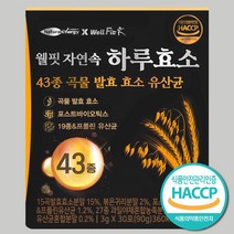 웰핏 웰핏 자연속 하루효소 43종 곡물 발효 효소 유산균, 90g, 1박스