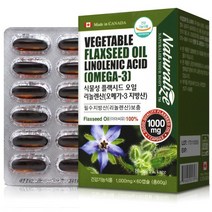 네추럴라이즈 식물성 임산부 오메가3 플랙시드 오일 리놀렌산 (1000mg x 60캡슐), 1000mg, 1개