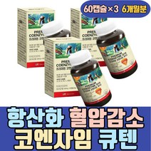 항산화 혈압 감소 코엔자임 큐텐 영양제 비타민A C 하루권장량 유해산소 세포보호 큐10 남자 여자 노인 실버 어르신 시니어 부모님 아버지 어머니 음식 어르신 중장년 남성