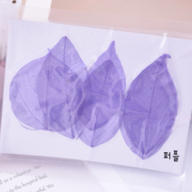 [드그라쎄] 캔들만들기 DIY재료, 36.프리저브드 스켈레톤 (퍼플)