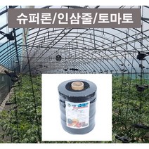 슈퍼론흑색 씨씨론 인삼줄 토마토내림줄 600m