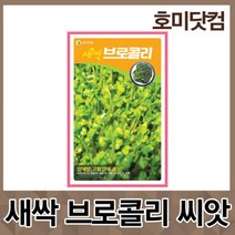 호미닷컴 새싹 브로콜리 12g