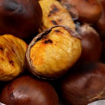 동충주농협 알이크고 튼실한 소태밤 2kg 소/중/대, 3.충주밤2kg(대)