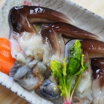 여수 새조개 택배 2.5Kg(실중량 500g) 샤브샤브 손질 남해안 새조개 판매, 최상품 손질 새조개 500g