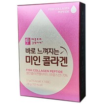 애플트리김약사네 바로 느껴지는 미인 콜라겐, 14포, 1박스