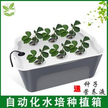 가정용스마트팜 수경재배기 야채키우기 유리온실 수경 야채 심기 상자 토양 재배 장비 홈 발코니 기계 실내 자동 딸기 꽃 냄비, [03] 시간 지정 폭기 수경재배 탱크타이머 워터 펌프, [01] 큰