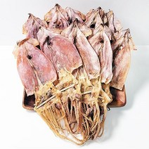 해진 울릉도 건오징어(중)20미(1.2kg), 단품