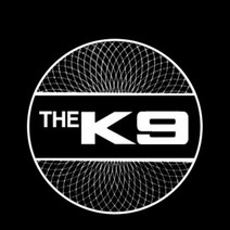 더K9 매립형 LED 도어 라이트 2P 세트 자동차 용품 321220EA, 럭키쿠팡 본상품선택, 럭키쿠팡 본상품선택
