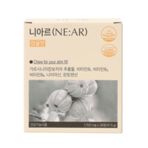 니아르 감귤맛 슬림핏 가르시니아 다이어트 보조제 1700mg x 28정, 1box