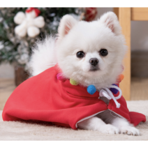 강아지 고양이 크리스마스 케이프(망토), 레드