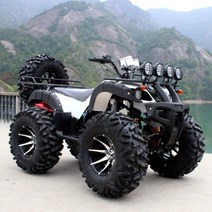 250cc atv 오토바이 전기 바이크 액티비티 오프로드 농업용 사륜 스쿠터 전동 산악, 작은 황소 패키지 3