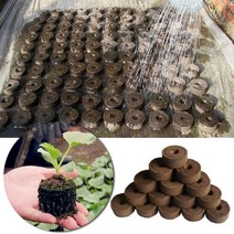 1/5/10pcs 이탄 펠렛 묘목 토양 블록 식물 묘목 이탄 재배 블록 종자 마이그레이션 도구 정원 심기 토양 블록, 10Pcs_2