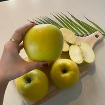 시나노 골드사과 스위트 홍로 경북 황금사과 5kg, 1개, 가정용 5kg(대과10~12개)