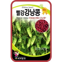 주주씨앗 빨강강낭콩 30g 콩씨앗 종자 비덩쿨성 풋콩 토종재래종