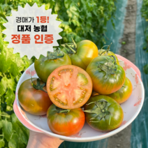 [정품인증] 최상급 대저 짭짤이 토마토 백화점납품용 로얄과 산지직송 짭짜리 못난이, 프리미엄 2S-S 사이즈 2.5kg (추천)