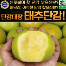 창녕 태추단감 4.5kg 대과 17-20과