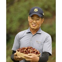 장스팜 굿뜨래 부여 칼집밤 유기농 밤 깐밤 알밤 1kg/2kg/3kg, 2kg (대)