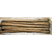 새벽들 우엉 국내산 특상품 햇 생우엉 ( 반찬용 ), 1box, 4kg