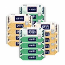 힐링데이 프리미엄 빅사이즈 물티슈 일반 플레인 요양병원 대형물티슈 캡형 60매, 10팩