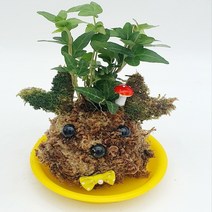 볼 토피얼 식물 화분 만들기2인(식물산호수)