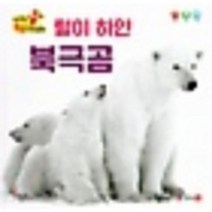 털이 하얀 북극곰 세이펜통통자연동화, 상품명