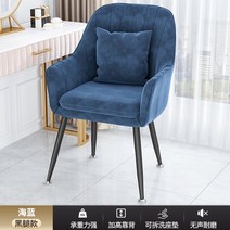 벨벳 식당 의자 베니티 귀여운 정원 독특한 인체 공학적 현대 주방 사무실 Chaises Salle Manger 북유럽 가구, [14] Blue Throw Pillow