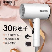 저소음드라이기 접이식 업소용 차이슨 미용실 여행용 항공모터 미니 휴대용, 존향호월백2300 음이온 인버터