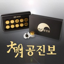 송강당 대명 공진보 10환