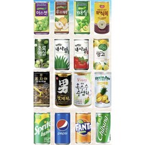 음료수 30캔 1박스 16가지 맛 초록매실 식혜 알로에 사이다, 광동옥수수수염차 180ml 30개