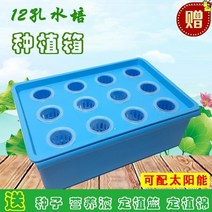 재배 디바이스 집안 베란다 반찬 기계 방안 워터 상자를 심는 플라스틱화분 가든픽, T03-발롱블루 산소증폭 물 배상자, C01-중하