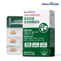 프리미엄 징코 앤 메모리 은행잎추출물 플라보놀배당체 두뇌 기억력 인지력 영양제 수험생 기억력 개선 손발저림 혈액순환 혈행개선, 1박스, 30정