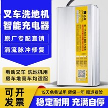 지게차 충전기 전동 바닥 세탁기 스태커 리프트 12V24V15A20A 관광 자동차 배터리, 21.12V18A 충전식 물 배터리 Anderson 5