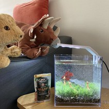 미니 어항 풀세트 수족관 구피 베타 열대어 구피키우기, 기린 초원 ver