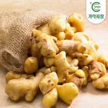 [온도씨] 가락시장 생강 1kg, 1개