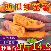 워터 6kg 생고구마 한박스 농가의 노란 마음의 멜론 음식물건조기, T01-5근, C02-달콤하고 부드럽다