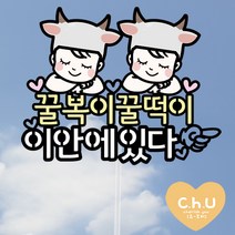 츄토퍼- 소띠아기 소띠 쌍둥이 아기 태교여행 만삭촬영 토퍼, 2.소띠 쌍둥이 아기, 5.이안에ooo있다