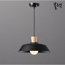 주방LED등 식탁 등 부엌조명 전등 인테리어 갓 포인트 북유럽식탁 카페 천장 고급, LED볼구12W 주광색(하얀빛)