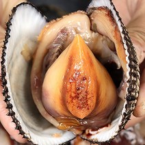 피조개 제철 피꼬막 왕피꼬막 왕피조개 1kg 2kg, 피조개1kg 3-6미