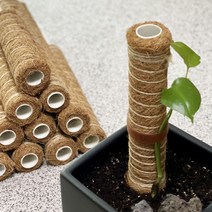 수태봉 몬스테라 식물 지지대 코코넛봉 연결형 플라스틱 우드, 유칼립투스(방수)우드, 30cm, 1개