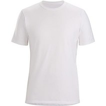 arcteryx (아크 테릭스) 캡티브 티셔츠 남성용 28538q, 작은, 백색광