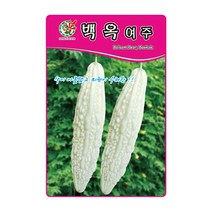 제일 백옥여주 씨앗 10립