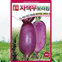 자색무 씨앗 적색무우 씨 종자 100립