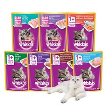 동동이네 고양이간식 수분보충 위스카스 파우치 80g 주니어 습식사료 1세이상 고양이 간식 7가지맛 골라담기, 주니어참치 80g