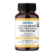 라이프토콜 강황 추출물 커큐민 95% 500mg 피페린, 단품