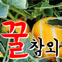 [성주참외] 진짜~성주꿀참외 2kg 산지직송, 1박스, 03.성주참외 2kg 가정용 중소과