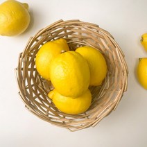 미국산 레몬 5kg 카페 납품용 대용량 레몬1박스, 10과